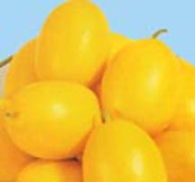 Shaped Melons