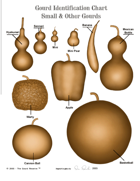 How do you use a seed identification chart?