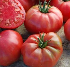 Tomato Seeds Variety list Rare Big Beefsteak Yellow Pink White Brandywine  Cherry