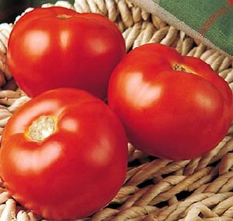 10 seeds-seeds-graines-semi Tomato Crnkovic Clean seeds 