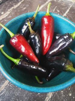 What to do if too much black or hot pepper is used in a dish?